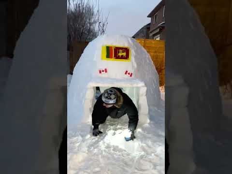 Happy Birthday Nisali 🎉 Come on Let’s Crawl ❄️