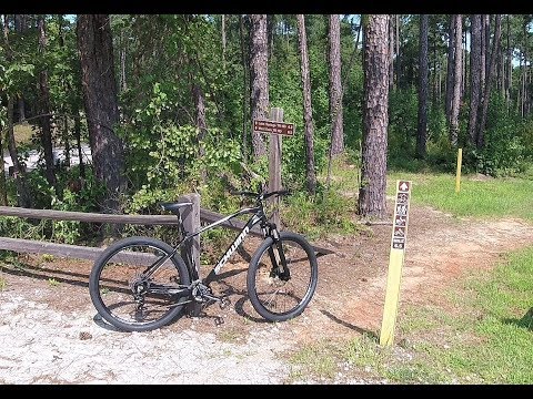 Walmart Schwinn Taff 29er. MTB trail ride and review. Pleasantly surprised!