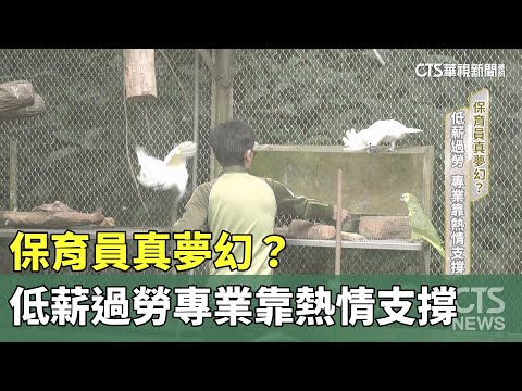 保育員真夢幻？　低薪過勞　專業靠熱情支撐