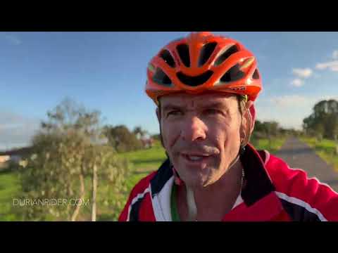 Engwe EP-2 Pro Ebike Longterm Review