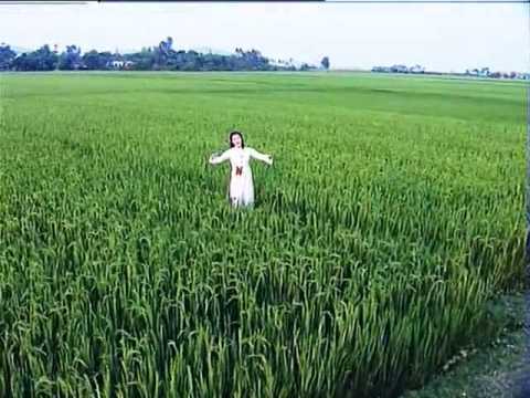 Ai vô xứ Nghệ Sheet - Phạm Phương Thảo