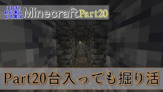 【実況】ほぼ初心者がお送りする、Minecraft冒険譚Part20【マイクラ】
