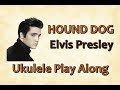 Hound Dog - Elvis Presley - Ukulele Play Along (Very easy)