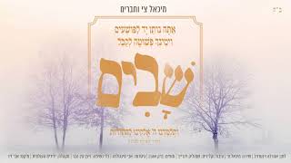 מיכאל צי - שבים - השיר האחרון של שלמה קרליבך | Michael Tzi - Shuvim - Shlomo Carlebach's Last Song