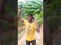 KaKajwi Yibye Igitoki America None Baramwishe Irebere Nawe