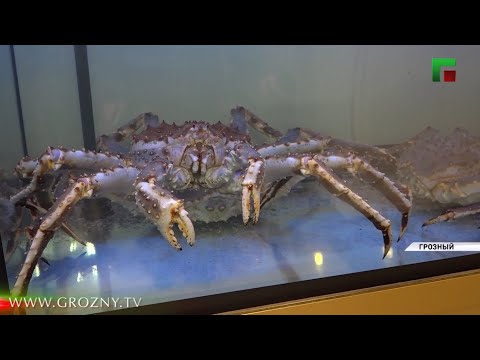 В республике увековечили память Ахмеда Исраилова и Темирхана Беширханова