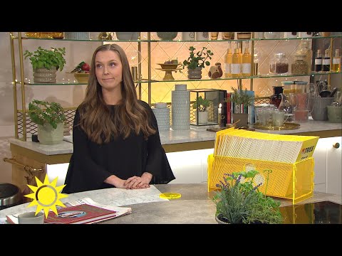 Trissgästen: "Hoppas bli av med studielånen" - Nyhetsmorgon (TV4)