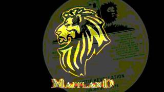JUNIOR DELAHAYE - Mystic Revelation 12 inch - MAITLAND ROOTS SOUND SYSTEM - DJ Bobby Dread