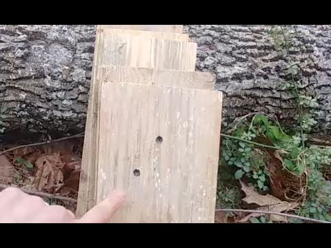 32ACP, 38 Special and 9mm penetration test. Virginia VA CCW n defense shooting class.