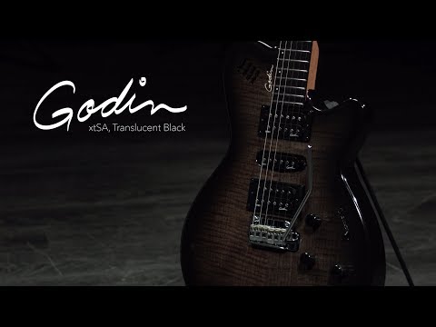 Godin xtSA 2010s - Trans Black image 9