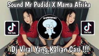 Download lagu SOUND MR PUDIDI X MAMA AFRIKA FULL BASS VIRAL TIK TOK TERBARU 2022 YANG KALIAN CARI ! mp3