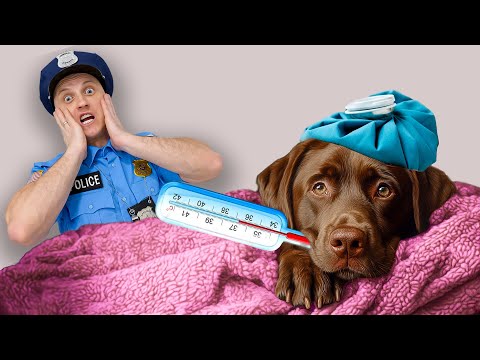 My Dog Rich Is Unwell Kids Videos | Dog Rich and Detective Kids Songs