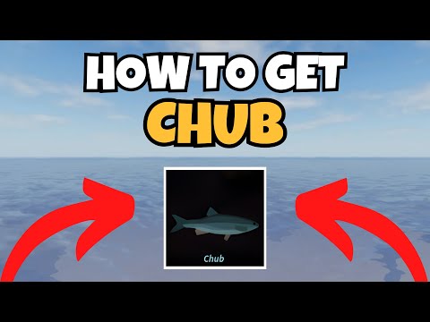 How To Get Chub in Fisch (BEST Locations & Method)