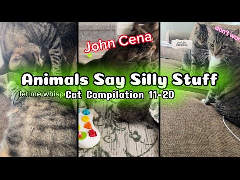 Animals Say Silly Stuff Cat Compilation #11-20 Richard and Ninette