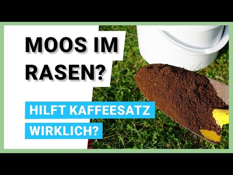 Kaffeesatz gegen Moos im Rasen - Hausmittel gegen Moos im Rasen