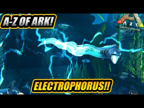 A-Z Of Ark! The ELECTROPHORUS The Most Annoying Water Creature To Tame!! || Ark Survival Evolved!