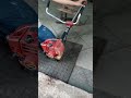 Shindaiwa C270 Part 3