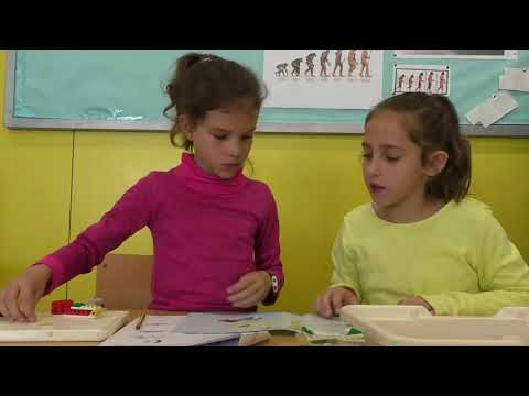 Vídeo Colegio Els Pins