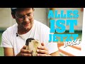 BOSSE singt "Alles ist Jetzt" mit Hundewelpen im BongoBoulevard