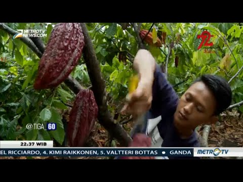 Orang benar-benar ingin menurunkan berat badan Ulasan Alat Xen untuk menurunkan berat badan