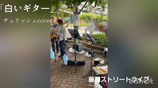 「白いギター」チェリッシュカバー　ギター弾き語り