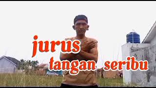 Download lagu JURUS TANGAN SERIBU mp3
