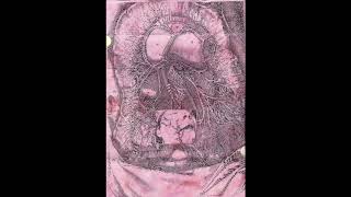 ATRAX MORGUE / CONTAGIOUS ORGASM ‎– Forced Entry / N.C.W. (1996)