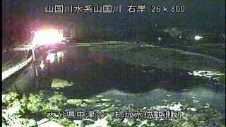動画のサムネイル