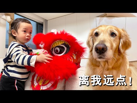 狗