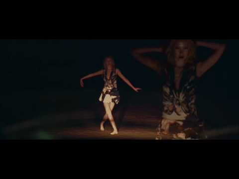 Husky Rescue "City Lights"