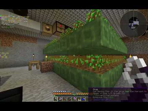 GTNH LV Steam Generation w/ Crop Manager Tree Farm Showcase