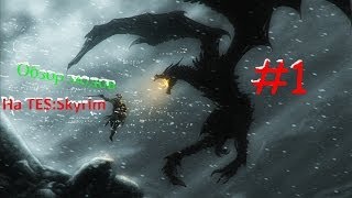 Мини Обзор модов на TES:Skyrim #1
