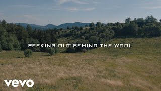 Musik-Video-Miniaturansicht zu Wool Songtext von Flatland Cavalry