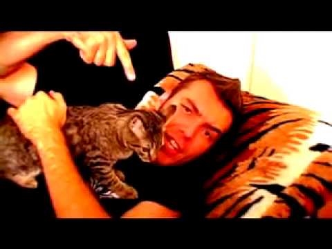 Sparta-The Mean Kitty Song