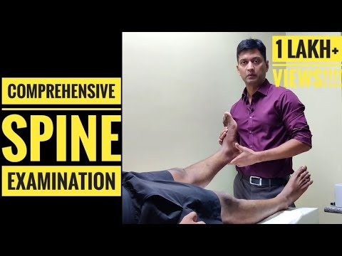 Comprehensive Spine Examination