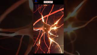 NEURON /animated video/ class x / control and coordination