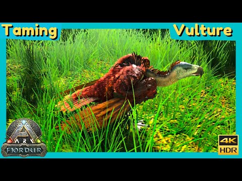 Ark - Fjordur : Taming a Vulture