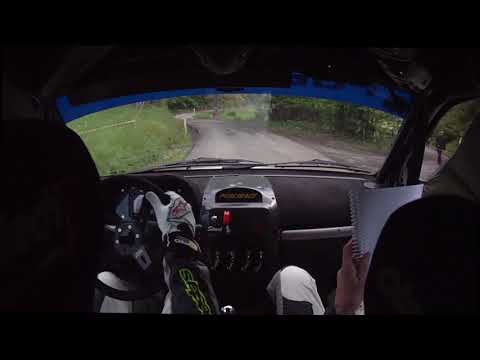 39°RALLY APPENNINO REGGIANO 2018 - RAVAZZINI G. - SFORACCHI S. - PS5 CRASH - CLIO N3
