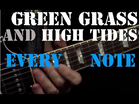 Green Grass And High Tides - EVERY GUITAR NOTE