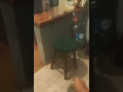 Bottle flip!! [Vertical video]
