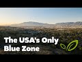 Is Loma Linda California The One True Blue Zone