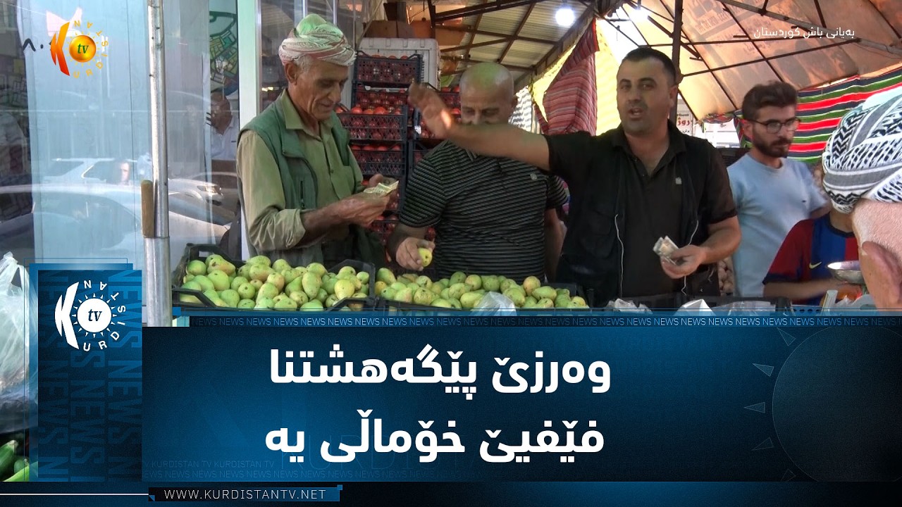 ڤیدیۆ | شێلادزێ  ..  وەرزێ پێگەهشتنا فێفیێ خۆماڵی یە و وەڵاتیان خواستەکا زۆر لسەر هەیە