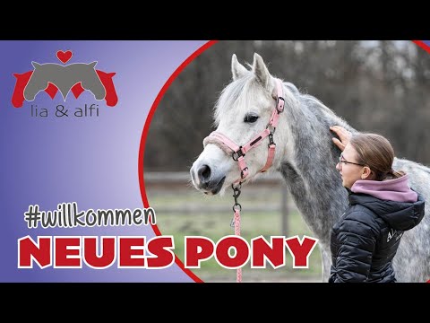 Lia & Alfi - we're buying a pony