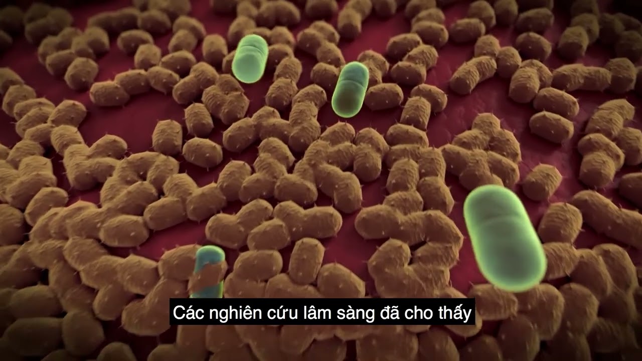 Video giới thiệu sản phẩm