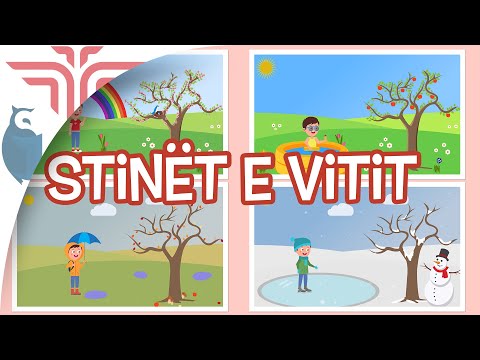 Stinët e vitit
