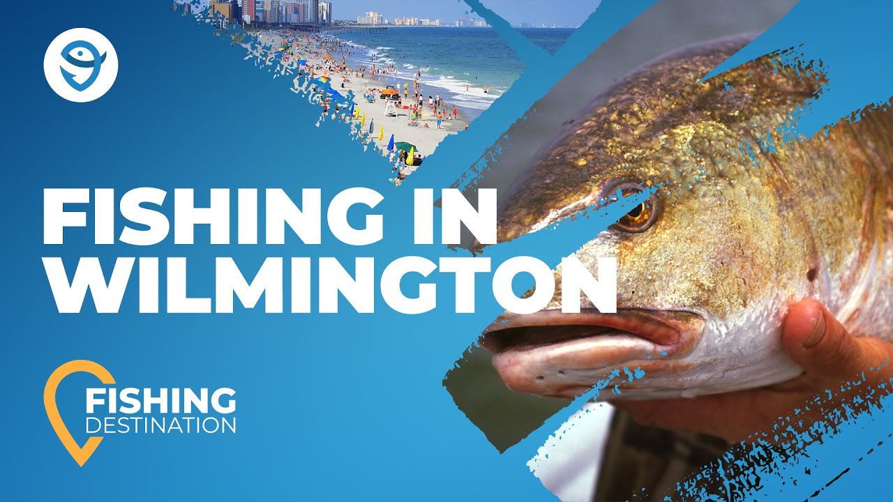 What fish are biting in Wilmington North Carolina? Tipseri