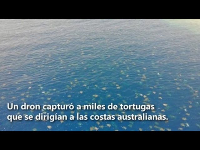 youtube video id=Dtkgjc4rHIk