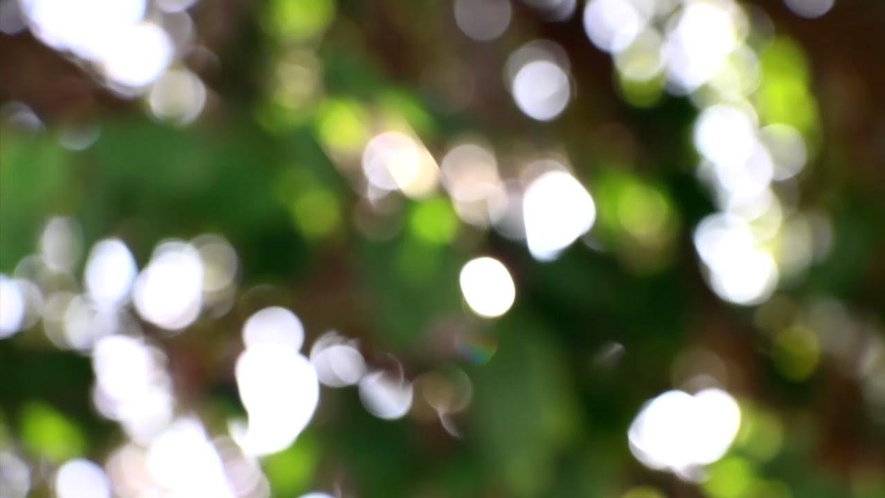 Body Scan: relaxamento pelo foco no corpo