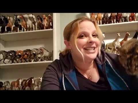 Lonesome Glory's BreyerFest Blog: E1 Sudden Unexpected Cat