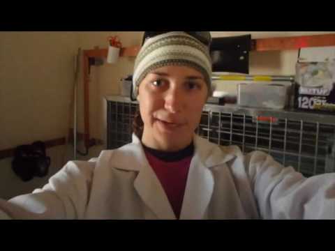 Tour of Ice Cube Lab